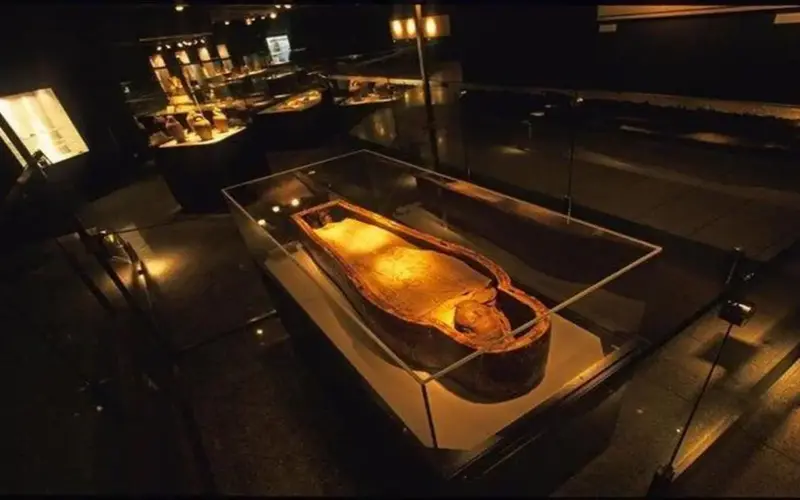 رسوم تذاكر متحف التحنيط ومواعيد الزيارة 2026.. جولة تستعرض أسرار المصريين القدماء